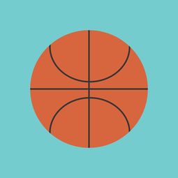 九游娱乐下载-中国篮球职业联赛市场竞争环境与发展策略，中国竞技篮球的发展趋势