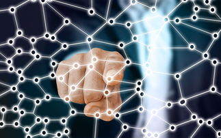 九游娱乐官方-中国篮球职业联赛市场竞争策略分析，我国篮球职业联赛